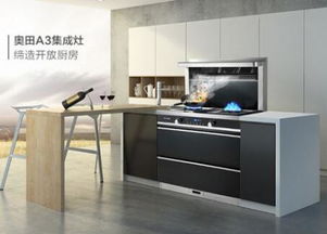 奧田集成灶 打造高端產(chǎn)品