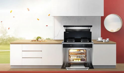 森歌集成灶61開門紅 第一又見第一,以及高速增長(zhǎng)的背后