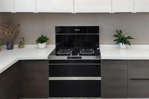 集成灶 重新定義廚房烹飪體驗(yàn).